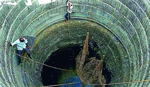 Lives of monkeys lying in well | विहिरीत पडलेल्या माकडांना जीवदान Lives of monkeys lying in well | विहिरीत पडलेल्या माकडांना जीवदान