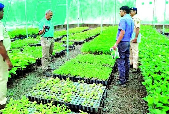 Inspiration of Isapur, Singer Nursery | इसापूर, सिंगद रोपवाटिकेची पाहणी