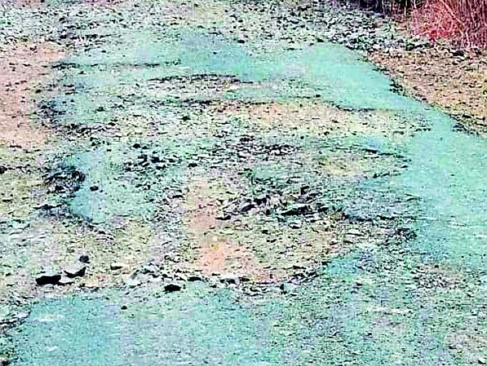 Carrier workouts on the bumpy roads | खड्डामय रस्त्यांवर वाहनधारकांची कसरत