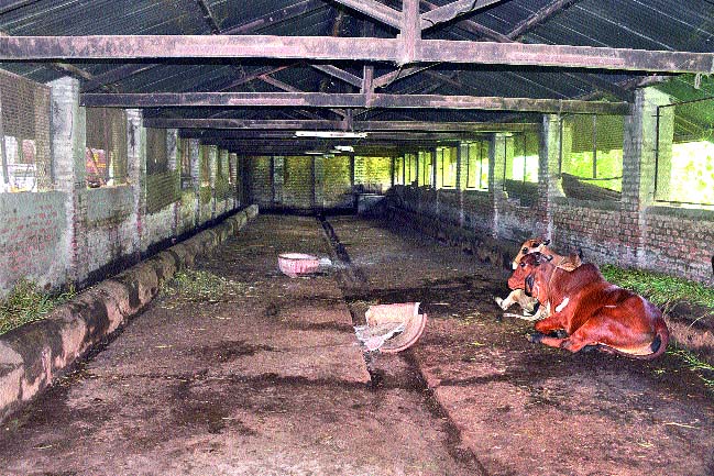  Kondwade of Devadarajas! | विनादरवाजांचे कोंडवाडे !