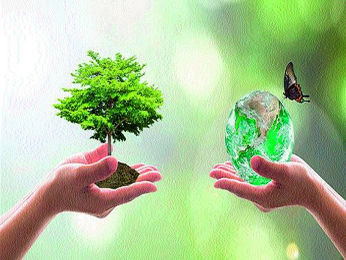 Within 3 days, 3% tree growth in the district | २२ दिवसांत जिल्ह्यात ४३ टक्के वृक्षलागवड Within 3 days, 3% tree growth in the district | २२ दिवसांत जिल्ह्यात ४३ टक्के वृक्षलागवड