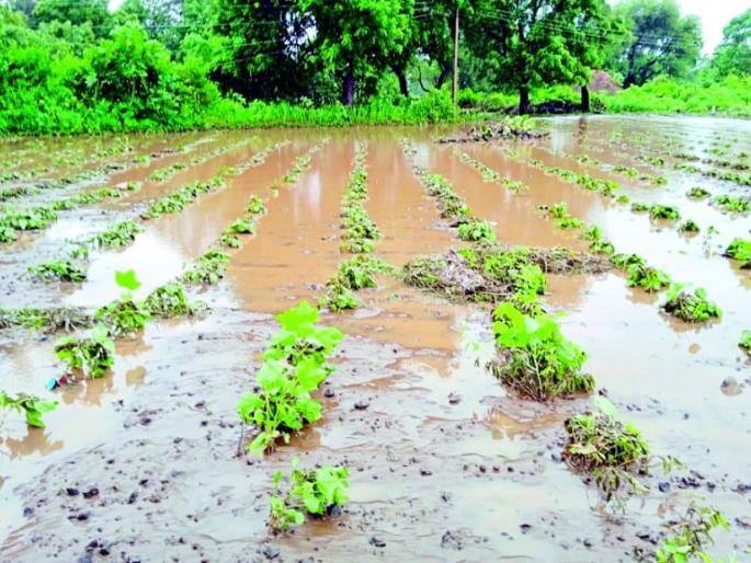 Warning to the villages along the Pus river | पूस नदीकाठावरील गावांना सतर्कतेचा इशारा Warning to the villages along the Pus river | पूस नदीकाठावरील गावांना सतर्कतेचा इशारा