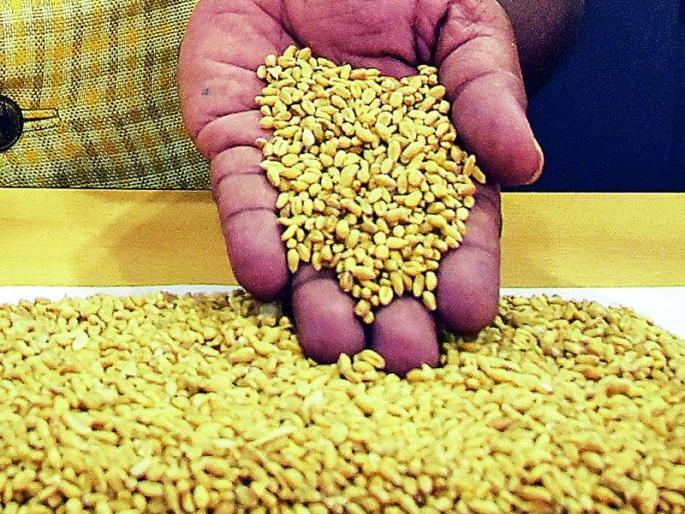 Inferior supplies are being supplied to government hospitals in Nagpur | नागपुरातील शासकीय रुग्णालयांना होतोय निकृष्ट पुरवठा Inferior supplies are being supplied to government hospitals in Nagpur | नागपुरातील शासकीय रुग्णालयांना होतोय निकृष्ट पुरवठा