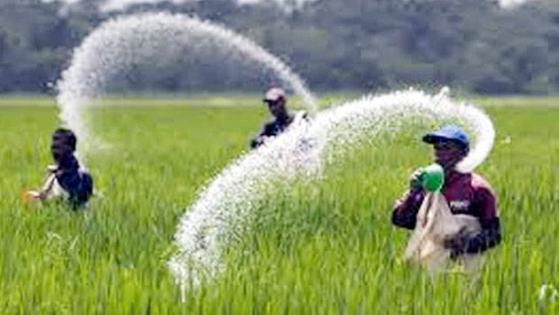 The Department of Agriculture says urea will arrive in four days; Sellers say stocks run out | कृषी विभाग म्हणतो, चार दिवसात येणार युरिया; विक्रेते म्हणतात साठा संपला