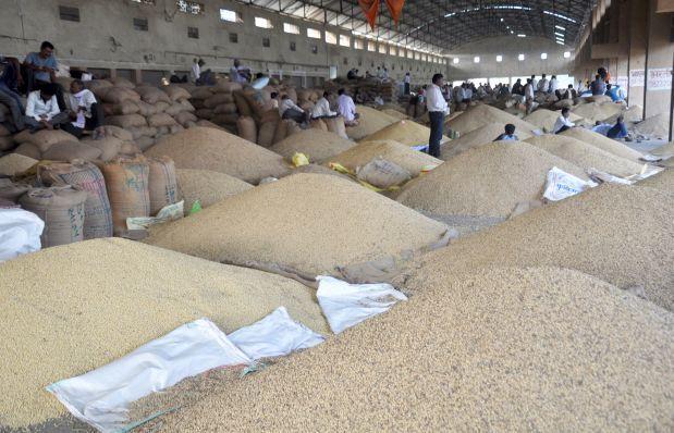 Warehousing Corporation refuses to keep wet commodities | ओला शेतमाल ठेवण्यास वखार महामंडळाचा नकार Warehousing Corporation refuses to keep wet commodities | ओला शेतमाल ठेवण्यास वखार महामंडळाचा नकार