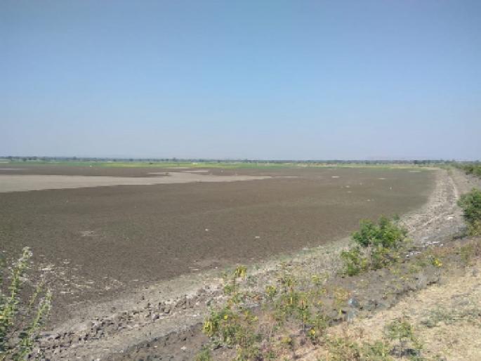 Sanapiara village Sanjivanar pond koradathaka ...! | सुखापुरी गावाला संजीवनी देणारा तलाव कोरडाठाक...! Sanapiara village Sanjivanar pond koradathaka ...! | सुखापुरी गावाला संजीवनी देणारा तलाव कोरडाठाक...!