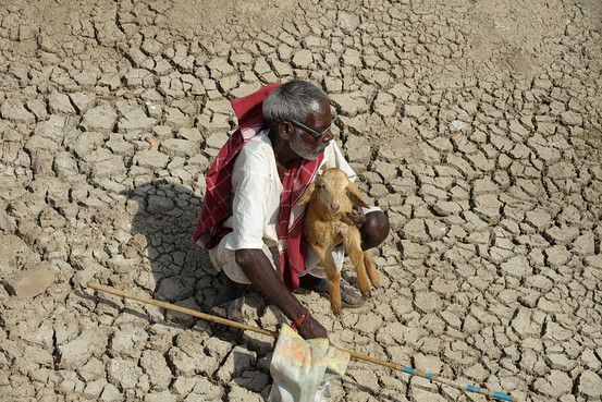 Ministerial confession of Revenue Recovery Criteria for being declared drought | दुष्काळ घोषित करण्यासाठीचे निकष जटील असल्याची महसूल मंत्र्यांची कबुली Ministerial confession of Revenue Recovery Criteria for being declared drought | दुष्काळ घोषित करण्यासाठीचे निकष जटील असल्याची महसूल मंत्र्यांची कबुली