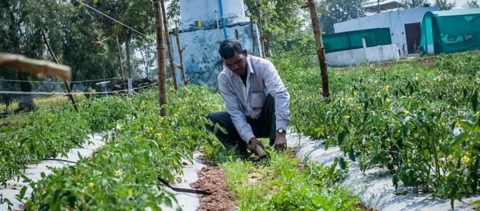 Disaster on the private employees of the social welfare department | समाज कल्याण विभागाच्या खासगी कर्मचाऱ्यांवर गंडांतर Disaster on the private employees of the social welfare department | समाज कल्याण विभागाच्या खासगी कर्मचाऱ्यांवर गंडांतर