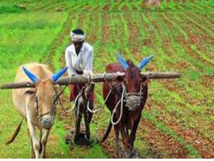 Loan waiver benefits to 3 thousand 5 farmers in Dhule district | धुळे जिल्ह्यातील ७६ हजार ४१८ शेतकऱ्यांना कर्जमाफीचा लाभ Loan waiver benefits to 3 thousand 5 farmers in Dhule district | धुळे जिल्ह्यातील ७६ हजार ४१८ शेतकऱ्यांना कर्जमाफीचा लाभ