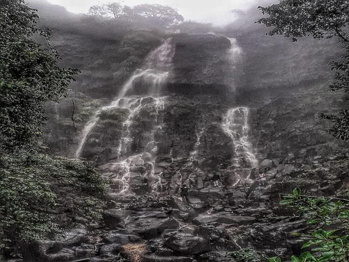 The main waterfall in Amboli has been flooded due to incessant rains for the last two days | पर्यटकांसाठी आनंदाची बातमी! आंबोलीतील मुख्य धबधबा झाला प्रवाहित The main waterfall in Amboli has been flooded due to incessant rains for the last two days | पर्यटकांसाठी आनंदाची बातमी! आंबोलीतील मुख्य धबधबा झाला प्रवाहित