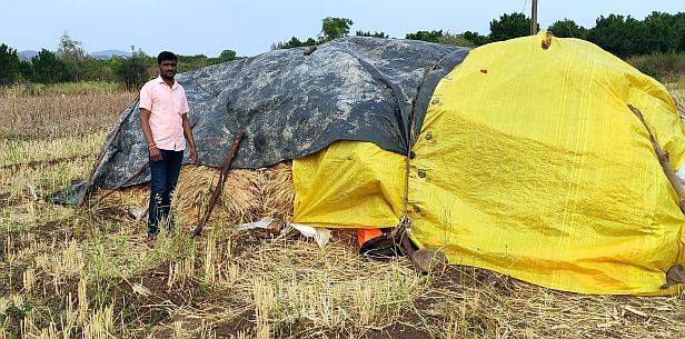 Unseasonal rain; The effect on an area of three thousand hectares | अवकाळी पाऊस; तीन हजार हेक्टर क्षेत्रावरील मृगबहर गळाला
