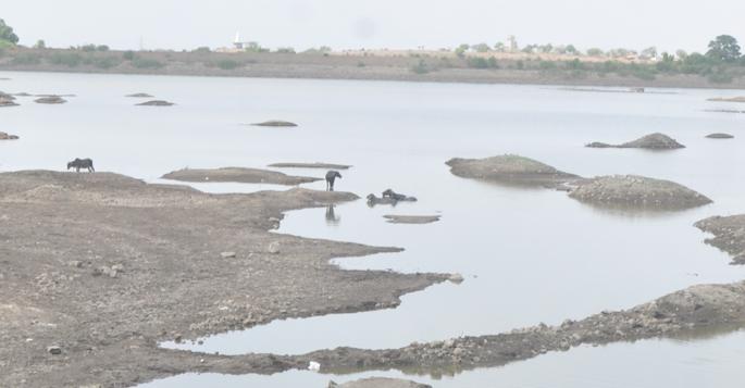 The base near Beed district reached through dams | बीड जिल्ह्यात धरणांनी गाठला तळ
