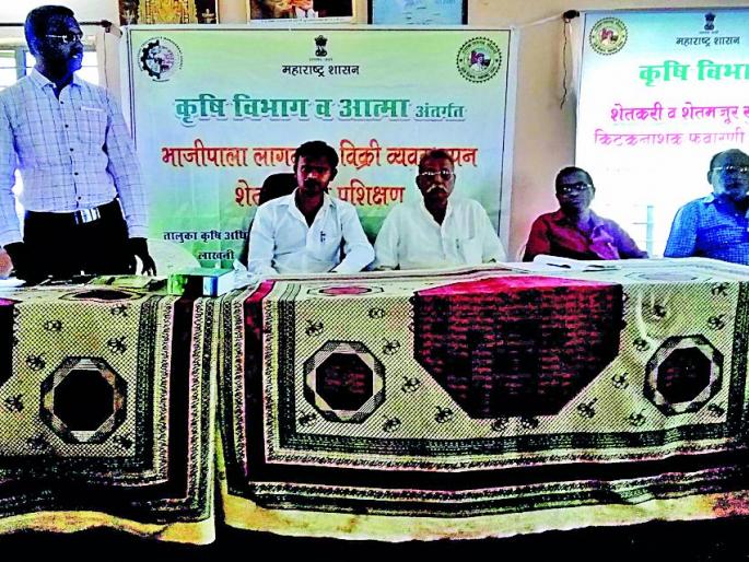 Combine positive ideas for group farming | समूह शेतीसाठी सकारात्मक विचाराने एकत्र या Combine positive ideas for group farming | समूह शेतीसाठी सकारात्मक विचाराने एकत्र या