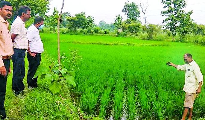 Hands on the steering wheel fixed in farming | स्टेअरिंगवरील हात स्थिरावले शेतीकामात Hands on the steering wheel fixed in farming | स्टेअरिंगवरील हात स्थिरावले शेतीकामात