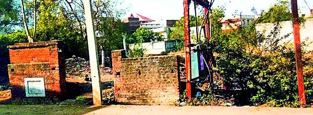 Remove encroachment in the garden | बगीच्यामधील अतिक्रमण हटवा Remove encroachment in the garden | बगीच्यामधील अतिक्रमण हटवा