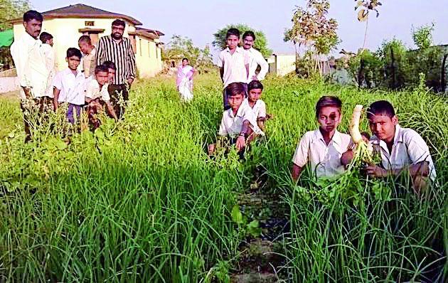  Phulwale Parsbaug to save the value of the labor credits | श्रमप्रतिष्ठेचे मूल्य रूजविण्यासाठी फुलविली परसबाग