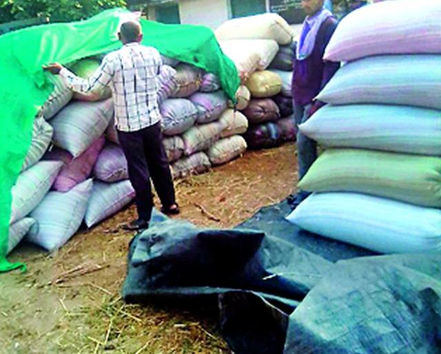 There is no rain in the Paddy procurement center | धान खरेदी केंद्रावर बारदाना पोहचला नाही There is no rain in the Paddy procurement center | धान खरेदी केंद्रावर बारदाना पोहचला नाही
