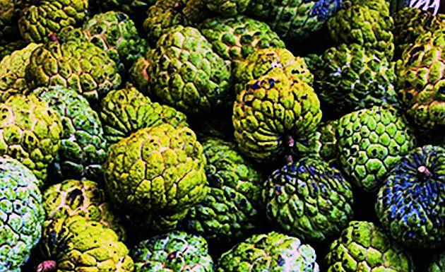 The inflow of the custodians increased, but the prices rose | सीताफळांची आवक वाढली पण भाव वधारलेलेच