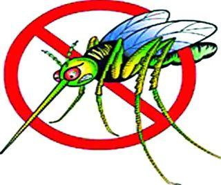 Inspection of five lakh patients | पावणेपाच लाख रुग्णांची तपासणी Inspection of five lakh patients | पावणेपाच लाख रुग्णांची तपासणी