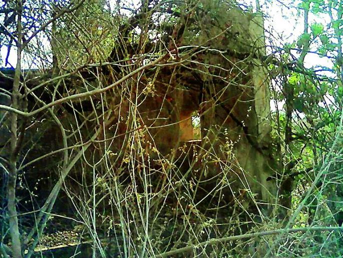 For 25 years on bus station paper | २५ वर्षांपासून बसस्थानक कागदावरच For 25 years on bus station paper | २५ वर्षांपासून बसस्थानक कागदावरच