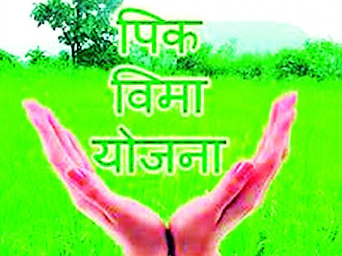 Only 2 thousand 777 farmers benefit | फक्त २ हजार ७७७ शेतकऱ्यांनाच लाभ