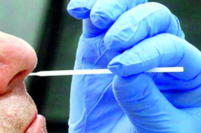 Corona test of Gram Panchayat election workers also | ग्रामपंचायत निवडणुकीतील कार्यकर्त्यांचीही कोरोना चाचणी Corona test of Gram Panchayat election workers also | ग्रामपंचायत निवडणुकीतील कार्यकर्त्यांचीही कोरोना चाचणी