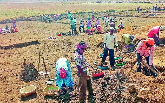  Transfiguration of labor from labor | श्रमदानातून भादुर्णीचा कायापालट