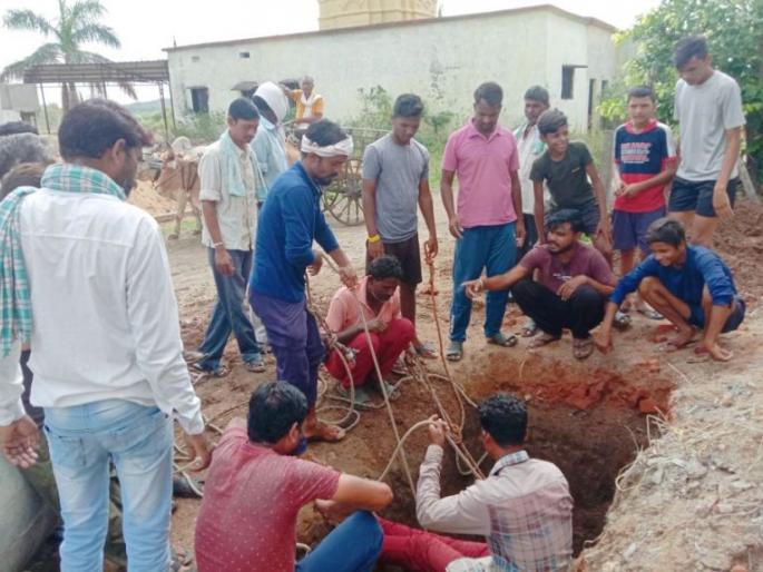 The cow, which had fallen into an eight-foot-deep pit, was finally rescued | आठ फूट खोल खड्ड्यात पडलेल्या गायीला अखेर वाचविले The cow, which had fallen into an eight-foot-deep pit, was finally rescued | आठ फूट खोल खड्ड्यात पडलेल्या गायीला अखेर वाचविले