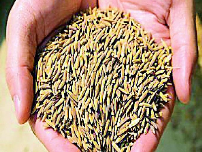 Increase in seed yield | बियाणे बदलाचे प्रमाण वाढले