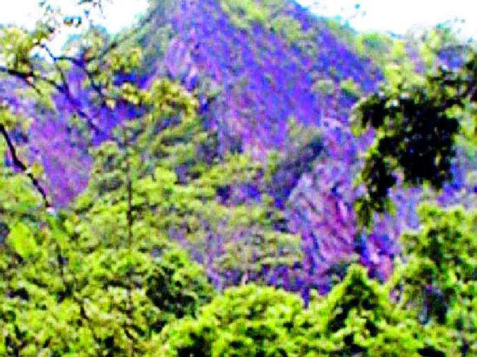 The Chandrakhadi hill area is neglected | चंद्राखडी पहाडी परिसर दुर्लक्षित