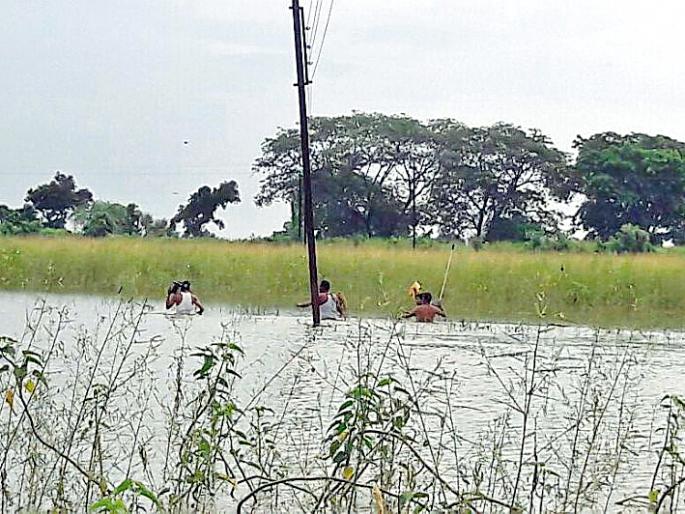 Risks have been made to power | धोका पत्करून वीज केली सुरळीत Risks have been made to power | धोका पत्करून वीज केली सुरळीत