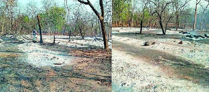 Bits of three and a half bits burned | साडेतीन लाखांचे बिट जळून खाक Bits of three and a half bits burned | साडेतीन लाखांचे बिट जळून खाक