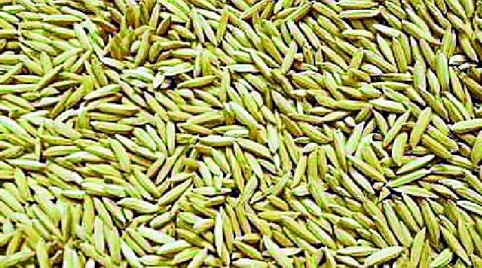 Agriculture Department receives vacant positions | कृषी विभागाला रिक्त पदांचे ग्रहण