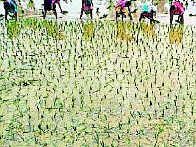 Slowing down of debt | कर्जवाटपाचा वेग मंदच