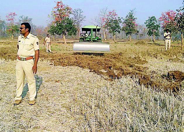 Forest Department removed encroachment | वन विभागाने हटविले अतिक्रमण