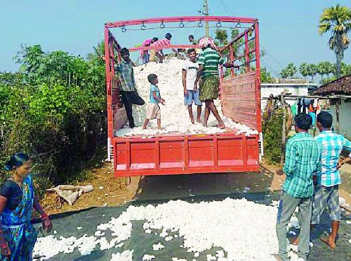 Robbery of farmers by merchants in buying cotton | कापूस खरेदीत शेतकऱ्यांची व्यापाऱ्यांकडून लूट Robbery of farmers by merchants in buying cotton | कापूस खरेदीत शेतकऱ्यांची व्यापाऱ्यांकडून लूट