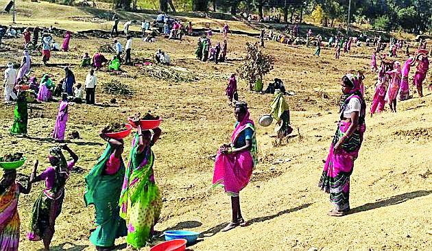 Corruption in MNREGA at Makkotola | मक्काटोला येथे मनरेगामध्ये भ्रष्टाचार Corruption in MNREGA at Makkotola | मक्काटोला येथे मनरेगामध्ये भ्रष्टाचार