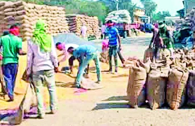 The business that provides employment has been neglected | रोजगार देणारा व्यवसायच झाला आहे दुर्लक्षित The business that provides employment has been neglected | रोजगार देणारा व्यवसायच झाला आहे दुर्लक्षित