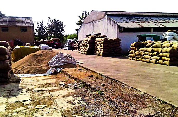 Incorporation of Krusub national agriculture market | कृउबाचा राष्ट्रीय कृषी बाजार योजनेत समावेश Incorporation of Krusub national agriculture market | कृउबाचा राष्ट्रीय कृषी बाजार योजनेत समावेश