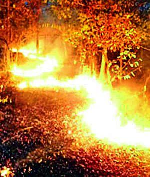 The lack of storage system | वणवा रोखणाऱ्या यंत्रणेचा अभाव The lack of storage system | वणवा रोखणाऱ्या यंत्रणेचा अभाव