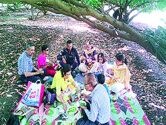 Emphasis on Hurda parties in Yeola taluka | येवला तालुक्यात हुरडा पार्ट्यांना जोर Emphasis on Hurda parties in Yeola taluka | येवला तालुक्यात हुरडा पार्ट्यांना जोर