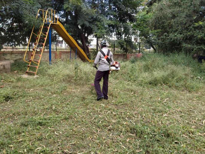 Corporator Dr. Deepali Kulkarni started removing carrot grass at her own cost | नगरसेवक डॉ दीपाली कुलकर्णी यांनी स्वखर्चाने गाजर गवत काढण्यास सुरुवात केली Corporator Dr. Deepali Kulkarni started removing carrot grass at her own cost | नगरसेवक डॉ दीपाली कुलकर्णी यांनी स्वखर्चाने गाजर गवत काढण्यास सुरुवात केली