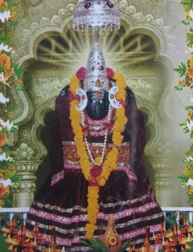 Kedarshwar Maharaj Yatra festival canceled | केदारेश्वर महाराज यात्रोत्सव रद्द