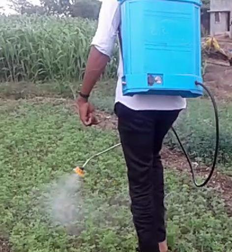 Pesticide poisoning to farmers | ४४ शेतकऱ्यांना कीटकनाशकांची बाधा Pesticide poisoning to farmers | ४४ शेतकऱ्यांना कीटकनाशकांची बाधा