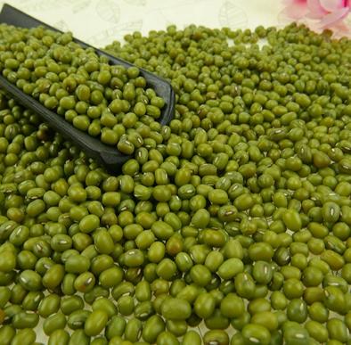 Soybean, Udid, Moog Registration Exp | सोयाबीन, उडीद, मूग नोंदणीस मुदतवाढ Soybean, Udid, Moog Registration Exp | सोयाबीन, उडीद, मूग नोंदणीस मुदतवाढ