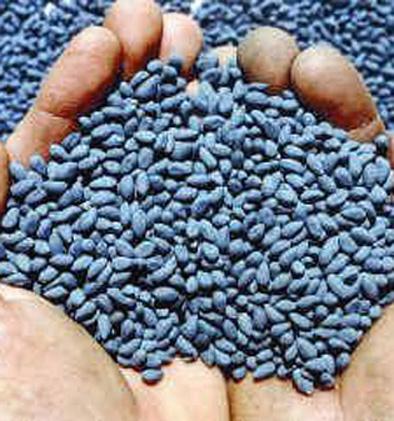 Contamination of seed samples | बियाणाचे नमुने घेण्यात दुजाभाव  Contamination of seed samples | बियाणाचे नमुने घेण्यात दुजाभाव