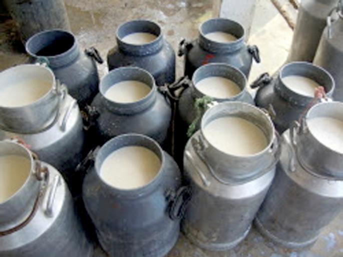 Milk business having golden period | जालना जिल्ह्यात दुग्ध व्यवसायाला सुगीचे दिवस