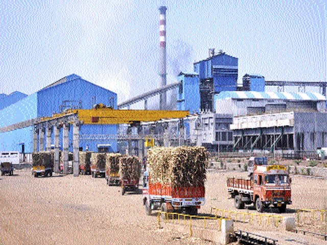 Highest sugar extract of sludge | कादवाचा सर्वाधिक साखर उतारा Highest sugar extract of sludge | कादवाचा सर्वाधिक साखर उतारा