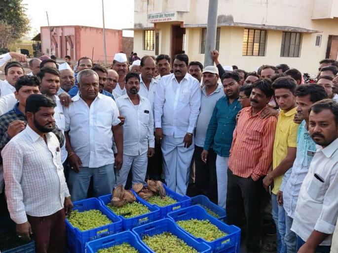 Start the gardener and start a lilt in the adjoining suburban premises | कसबे सुकेणे उपबाजार आवारात द्राक्षमणी लिलावास प्रारंभ Start the gardener and start a lilt in the adjoining suburban premises | कसबे सुकेणे उपबाजार आवारात द्राक्षमणी लिलावास प्रारंभ