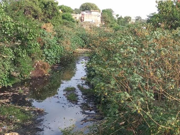 Khamgaon Municipal Counsil neglects cleaning of partially abandoned nallas! | अर्धवट सोडलेल्या नाल्यांच्या सफाईकडे खामगाव पालिकेचे दुर्लक्ष! Khamgaon Municipal Counsil neglects cleaning of partially abandoned nallas! | अर्धवट सोडलेल्या नाल्यांच्या सफाईकडे खामगाव पालिकेचे दुर्लक्ष!